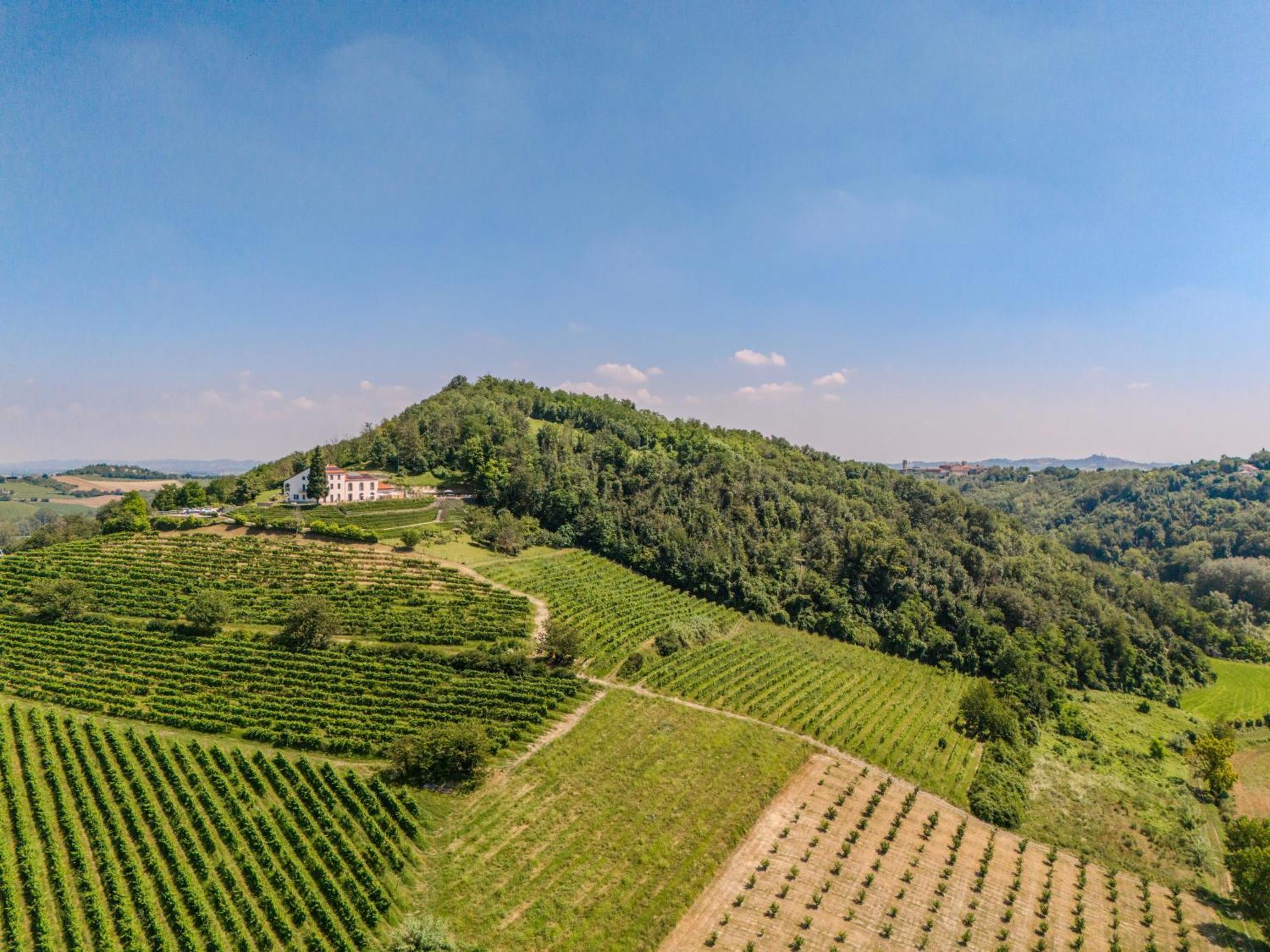 Villa Rocco Country House 오짜노 몬페라토 외부 사진
